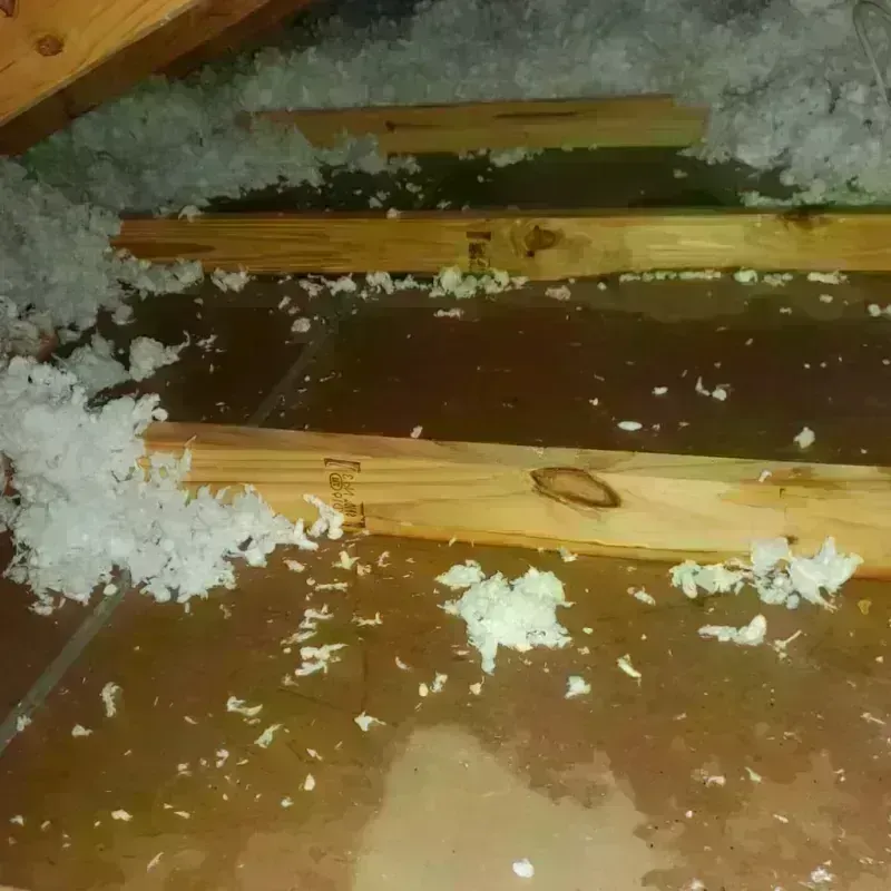 Attic Water Damage in Vancouver, WA