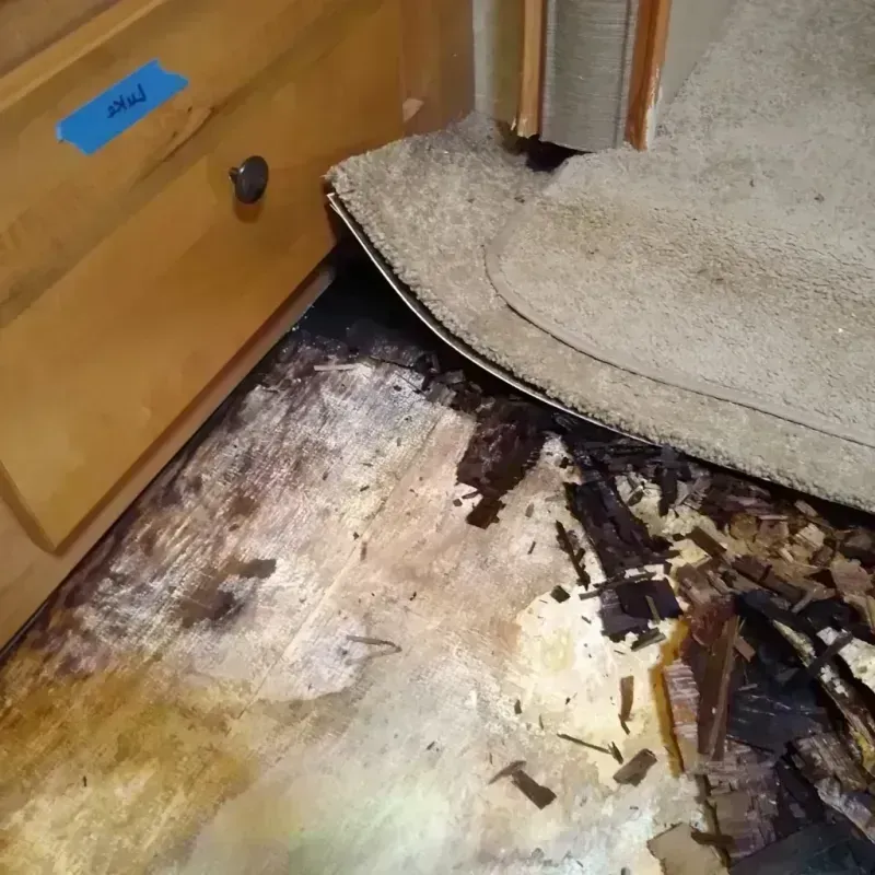 Wood Floor Water Damage in Vancouver, WA